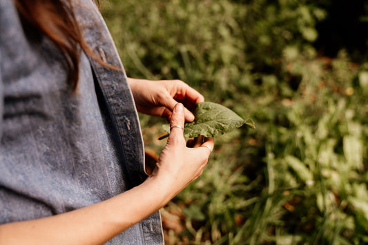 Kitchen Herbalism