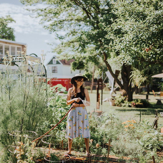 Favorite herbs for the garden