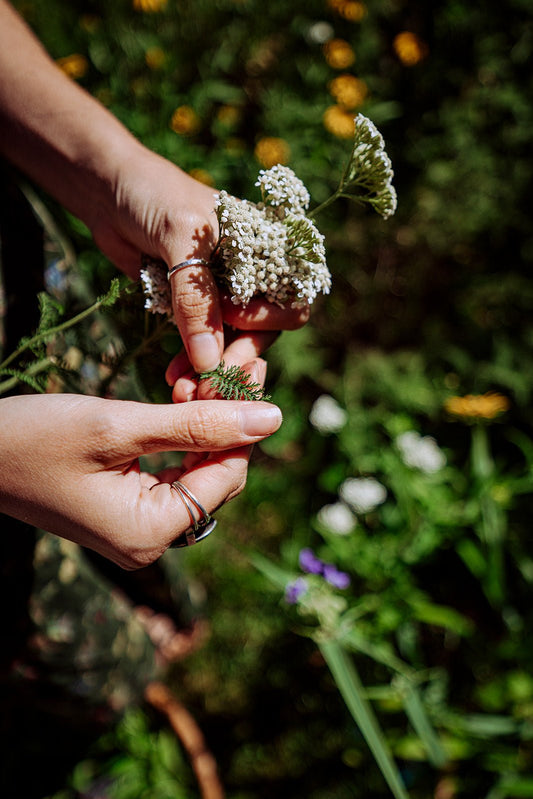 What does "whole plant" mean for Wild Origins? | Wild Origins